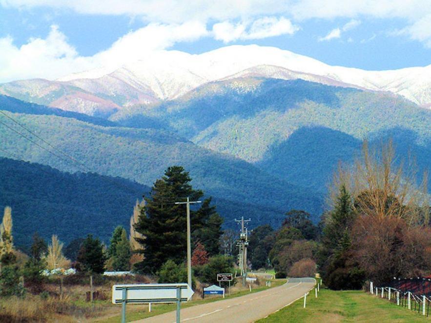 Alpine Riverside Cottages Porepunkah Kültér fotó